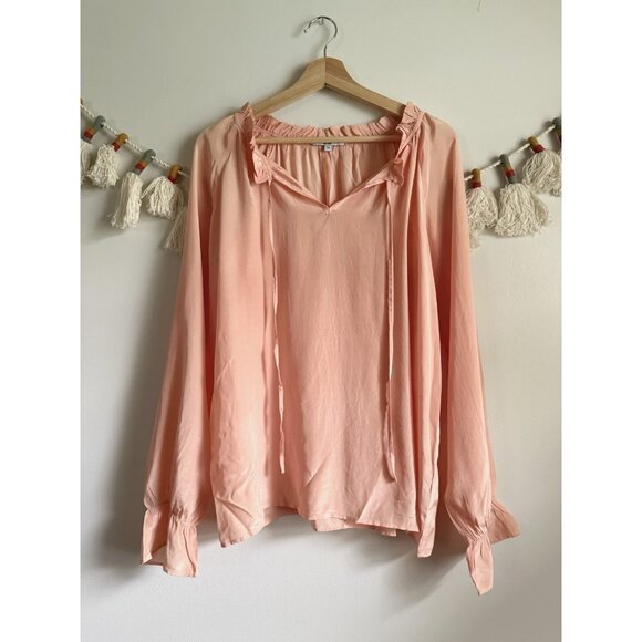 Walter Baker 100% Silk Ruffle V-neck Long Sleeve Blouson Top Modest Careerwear M - Picture 1 of 10